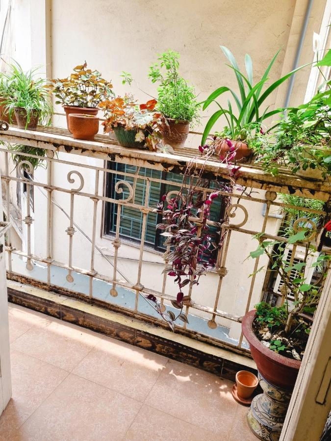 Daisy'S Stay Hanoi Dış mekan fotoğraf